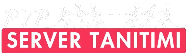 PVP SERVER TANITIMI LOGO